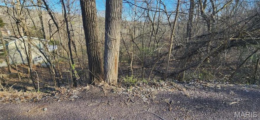 Ever wondered what it’s like to be part of a lake community? Owning this property gives you access to everything Lake Sherwood has to offer.
This 24-hour gated community provides a lifestyle centered around relaxation, recreation, and connection. Members enjoy a wide range of amenities, including a clubhouse, swim and beach area, sand volleyball, campgrounds, main lake sunset cruises on your boat, lots of fishing, several park areas, a newer pool, and a marina. The main lake allows gas-powered boats, and with six total lakes, there’s no shortage of ways to enjoy the water.
You’ll also love the on-site Lake Side Grill, offering a full menu, along with community events hosted throughout the year. Two convenient boat launches—located at the marina and the dam—make getting on the water easy.
One of the community’s hidden gems is its private island—perfect for sunset views, boating, and taking in the peaceful beauty of nature.
Located in the Washington School District, the property is just minutes from the charming downtown of Marthasville and near the quaint towns of Augusta, Foristell, New Melle, and Washington. Plus, it’s only a 35-minute drive to Chesterfield and close to some of Missouri’s premier wineries.
Buyers must be accompanied by an agent.
Come discover what lake life is all about.