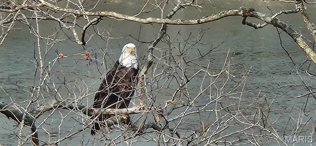 Lake Sherwood Estates - Land