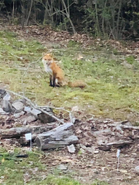 Lake Sherwood Estates - Land