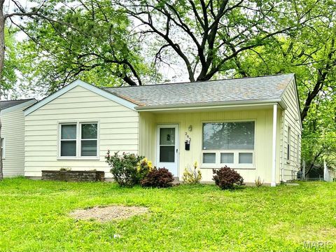 Photo of 260 Brackleigh Ln, Florissant, MO 63031 (MLS # 26031453)