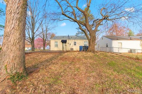 Tiny photo for 260 Brackleigh Ln, Florissant, MO 63031 (MLS # 26031453)