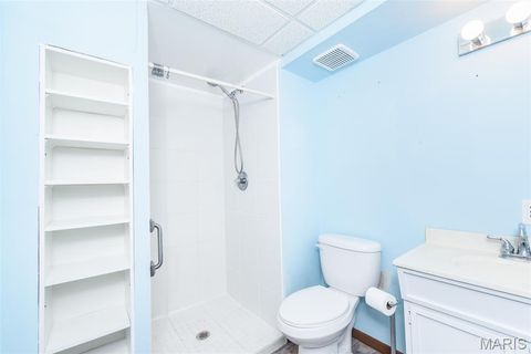 Tiny photo for 3935 Rhine Court, Unincorporated, MO 63304 (MLS # 26030753)