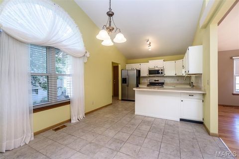 Tiny photo for 3935 Rhine Court, Unincorporated, MO 63304 (MLS # 26030753)