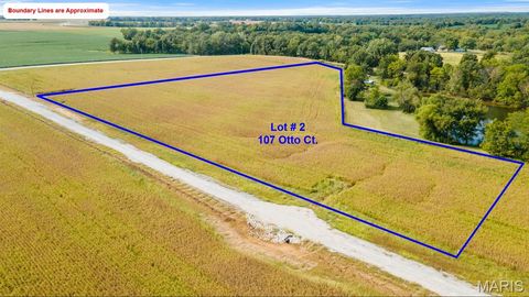 Photo of 107 Otto Court, Silex, MO 63377 (MLS # 26018125)
