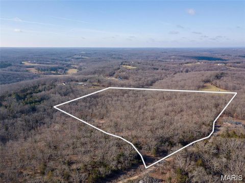 317 Fern Court St Clair MO 63077