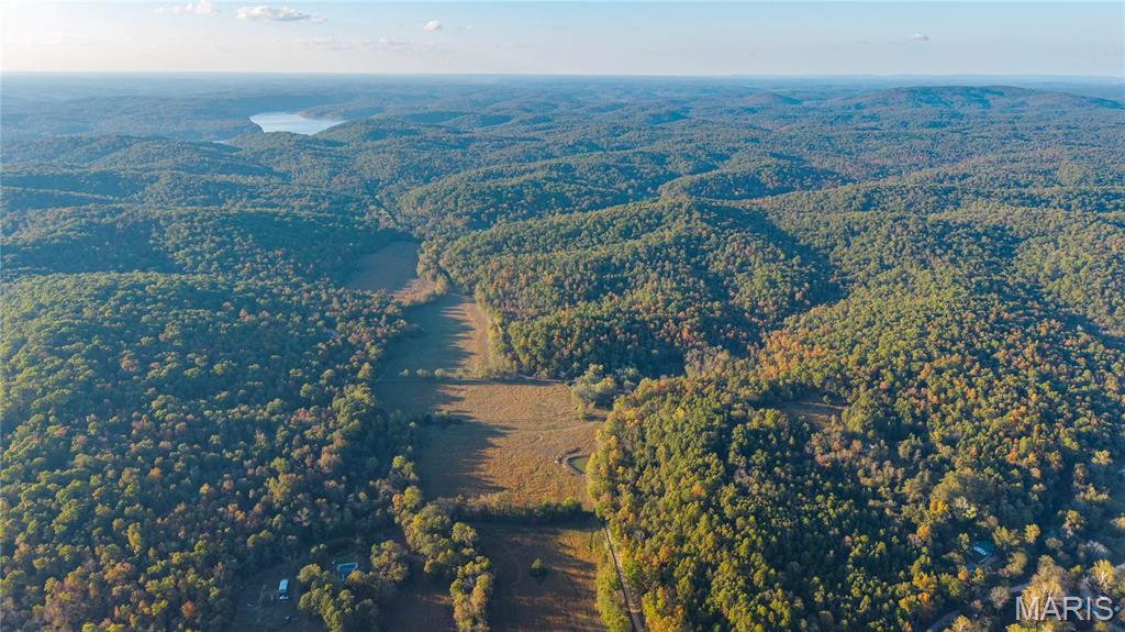 Photo of 45 Wayne 352, Piedmont, MO 63957 (MLS # 26067490)