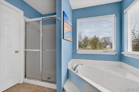 Tiny photo for 1908 Providence Estate Drive, Wentzville, MO 63385 (MLS # 26021371)