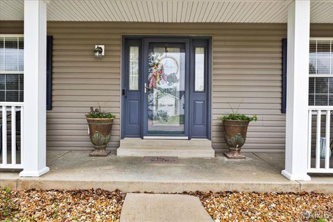 Tiny photo for 1908 Providence Estate Drive, Wentzville, MO 63385 (MLS # 26021371)