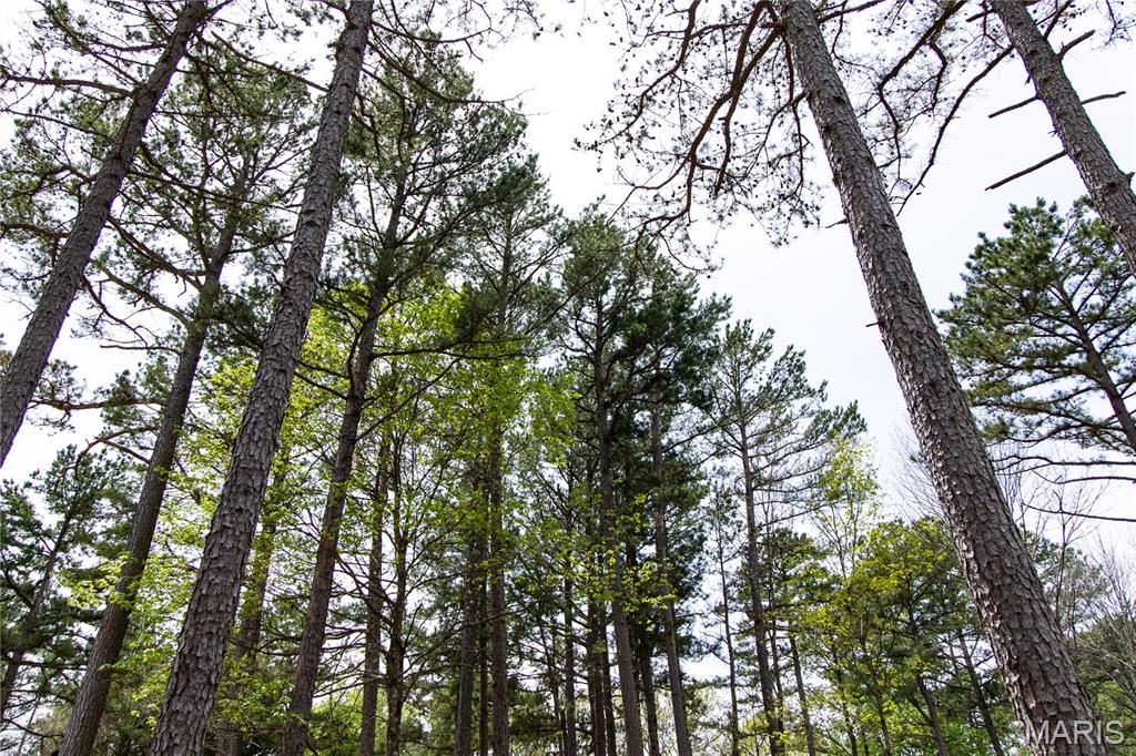 Kingston Lake Estates - Land