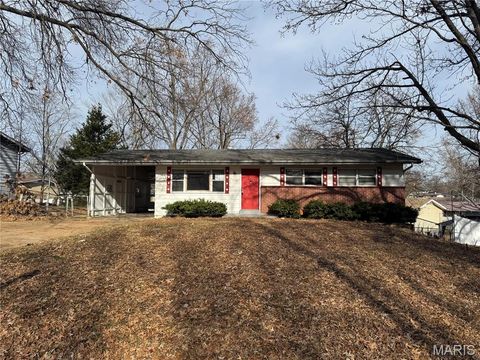 Photo of 1765 Cargill Drive, St Louis, MO 63136 (MLS # 25082020)