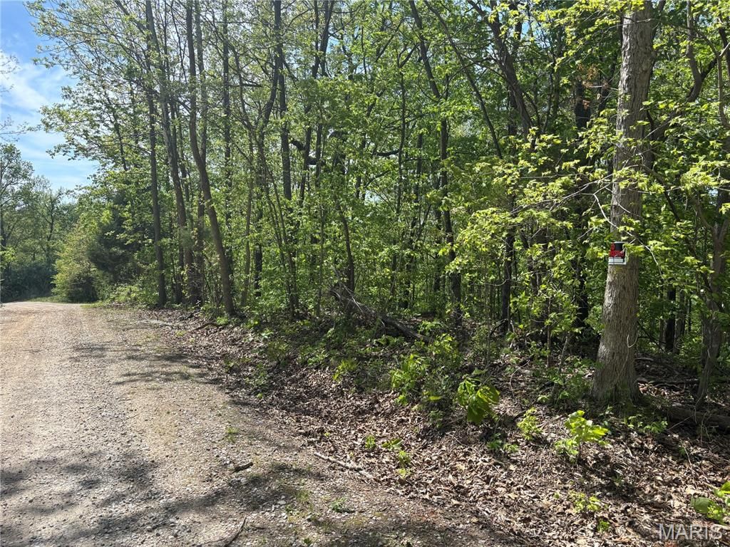 Photo of 120 -127 Rocky Ln, Perryville, MO 63775 (MLS # 26024761)