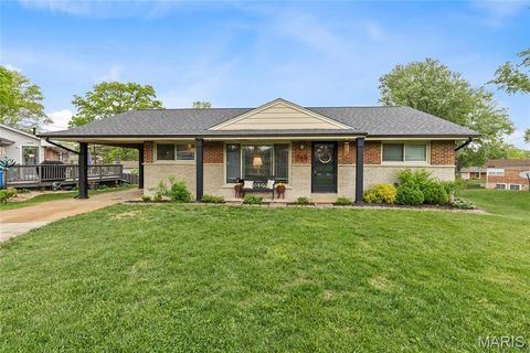 Photo of 763 Dace Lane, St Louis, MO 63125 (MLS # 26023613)