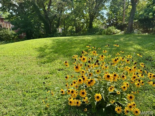 Lafayette Square - Land