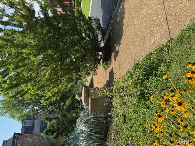 Lafayette Square - Land