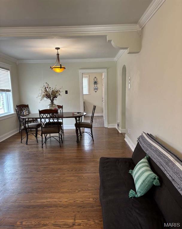 Dogtown - Residential