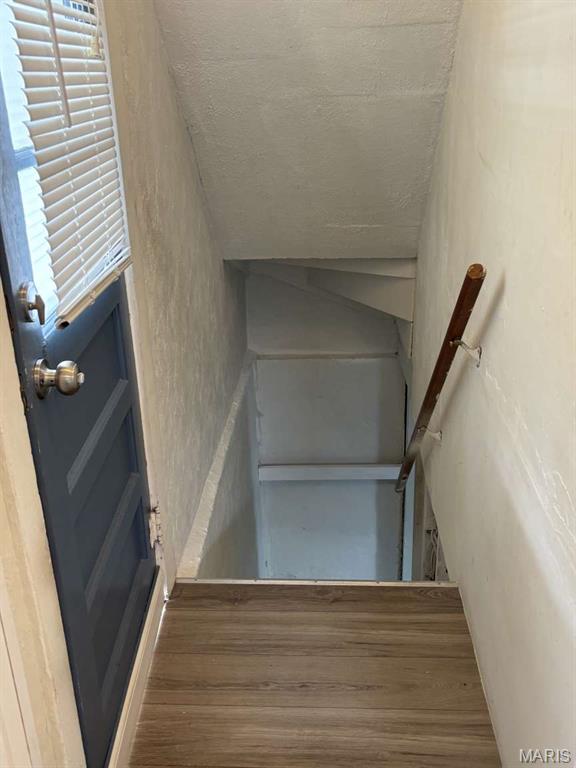 Dogtown - Residential