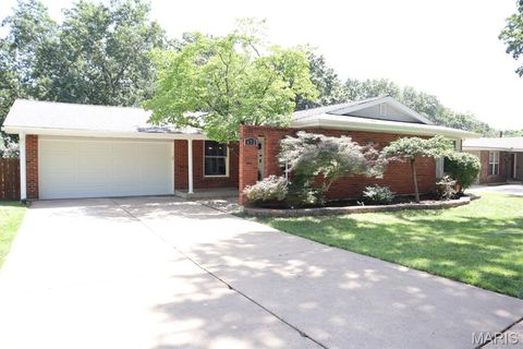 Photo of 672 Towerwood Drive, Ballwin, MO 63021 (MLS # 26046553)
