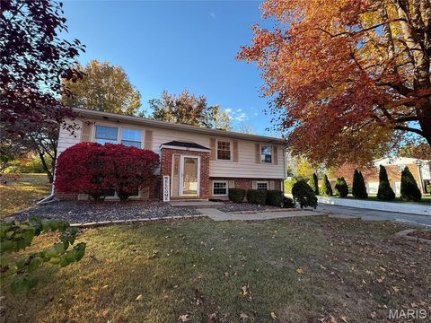 Photo of 17 D'Ville Place, Hannibal, MO 63401 (MLS # 25074885)