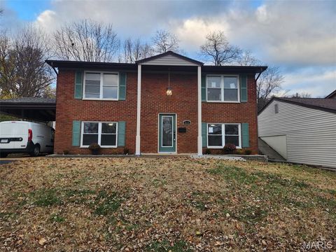 5376 Ville Rosa Lane Hazelwood MO 63042
