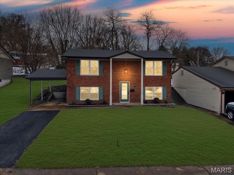 5376 Ville Rosa Lane Hazelwood MO 63042