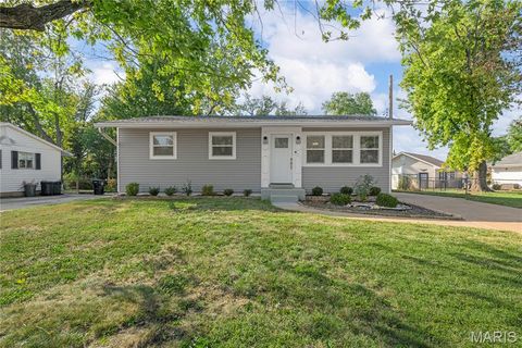 11345 Revere Lane St Louis MO 63128