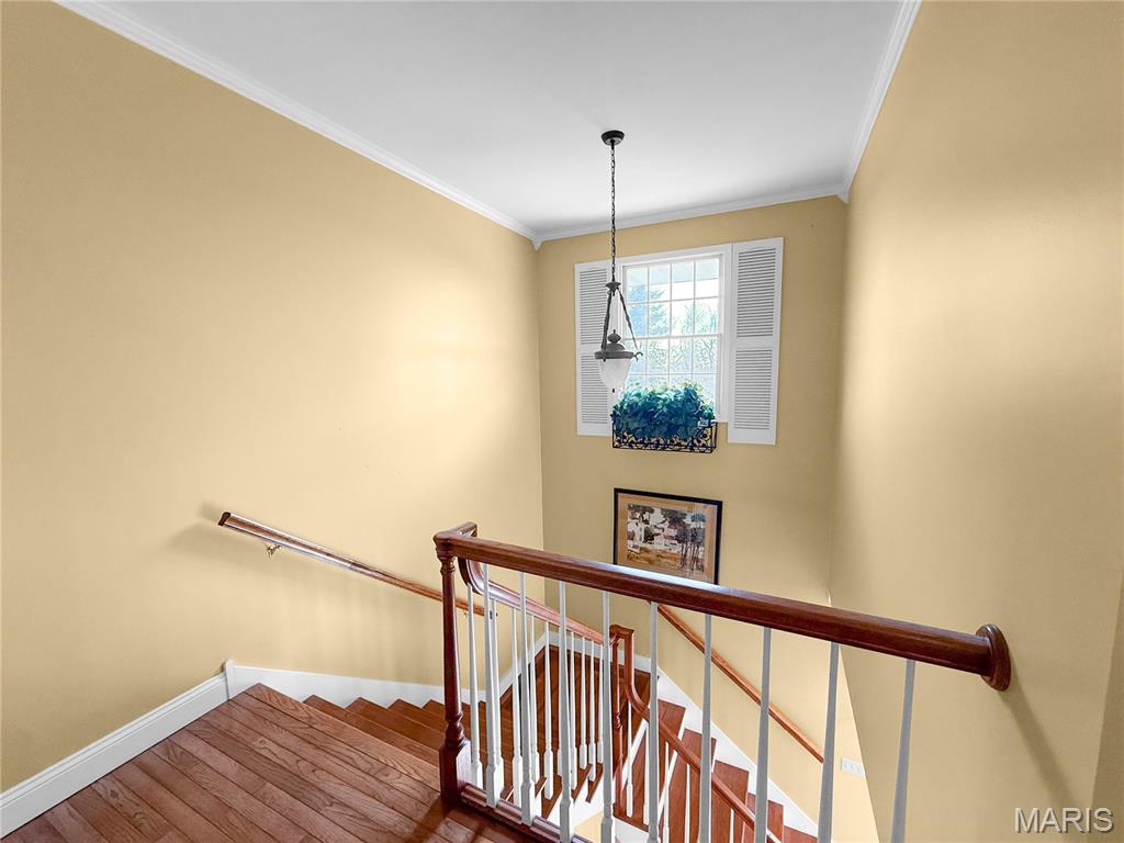 Skyline SD - Residential