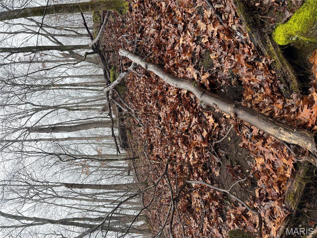 Pinnacle Lake Estates - Land