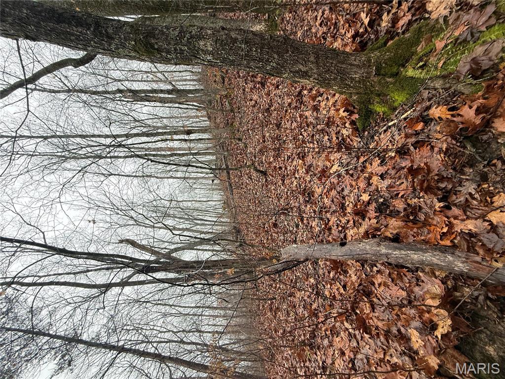 Pinnacle Lake Estates - Land