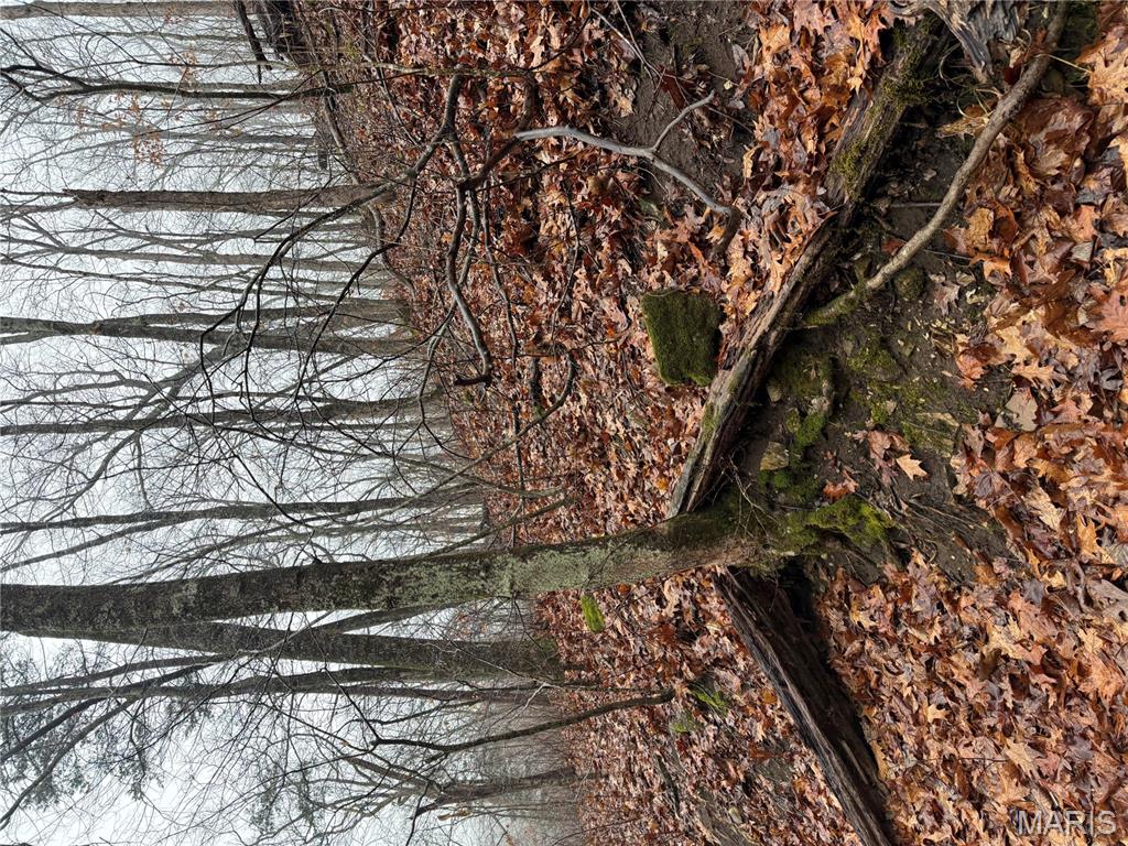 Pinnacle Lake Estates - Land