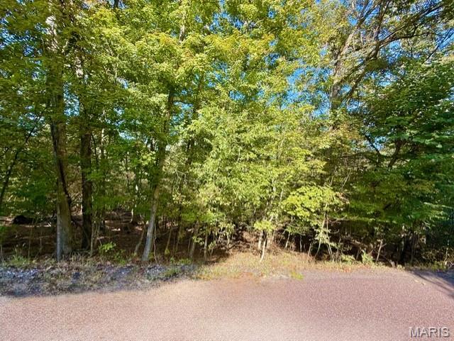 Lake Sherwood Estates - Land