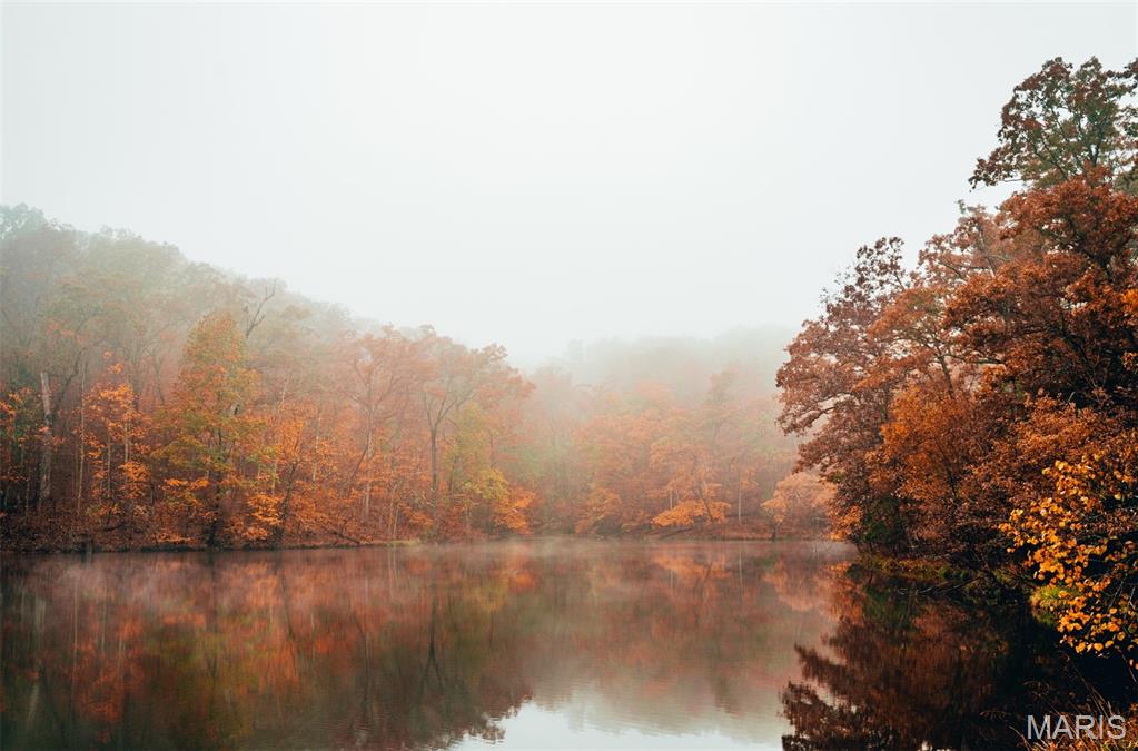 Lake Sherwood Estates - Land