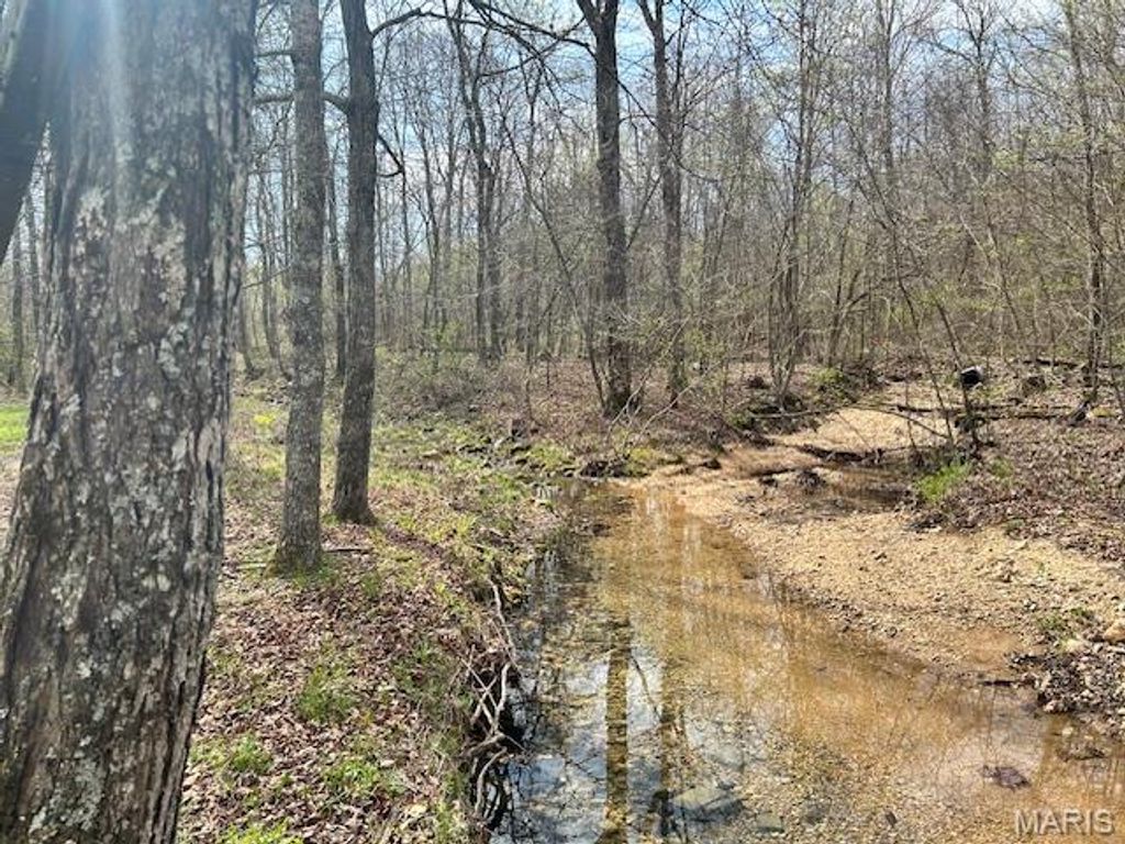 Photo of 413 Kelley Road, Annapolis, MO 63620 (MLS # 26020557)