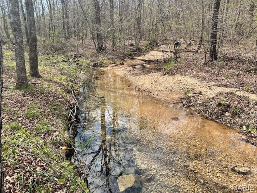 Camping Cabin located just a short drive from the Black River. Creek thru property. Hunting allowed and fishing in 6 lakes for 
your use in Hidden Valley. Electric nearby. Camp ,Hunt ,Swim,Hike or ride your ATV.