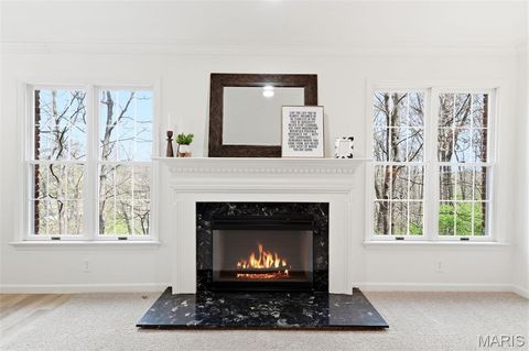 Tiny photo for 200 Ambridge Court #206, Chesterfield, MO 63017 (MLS # 26020819)