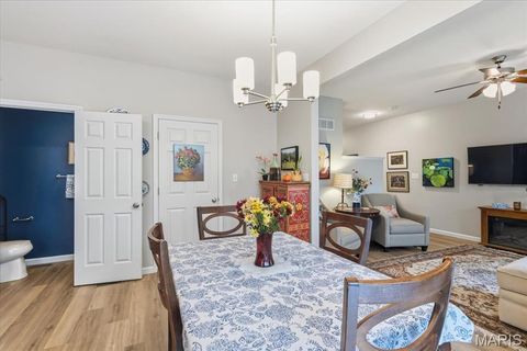 Tiny photo for 17025 Cambury Lane, Wildwood, MO 63040 (MLS # 25070552)