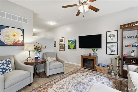 Tiny photo for 17025 Cambury Lane, Wildwood, MO 63040 (MLS # 25070552)
