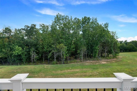 Tiny photo for 337 White Orchid Court, Wentzville, MO 63385 (MLS # 26057231)