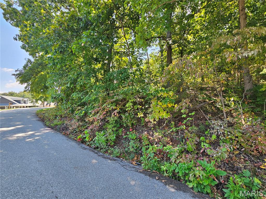 Raintree Plantation - Land