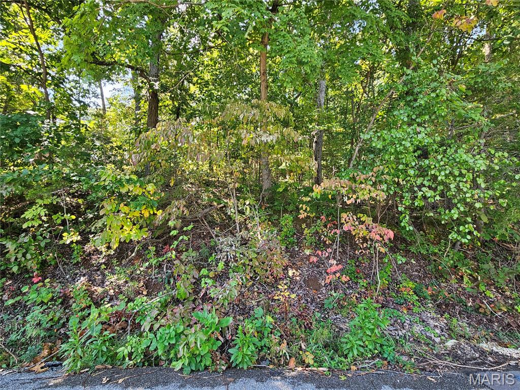 Raintree Plantation - Land