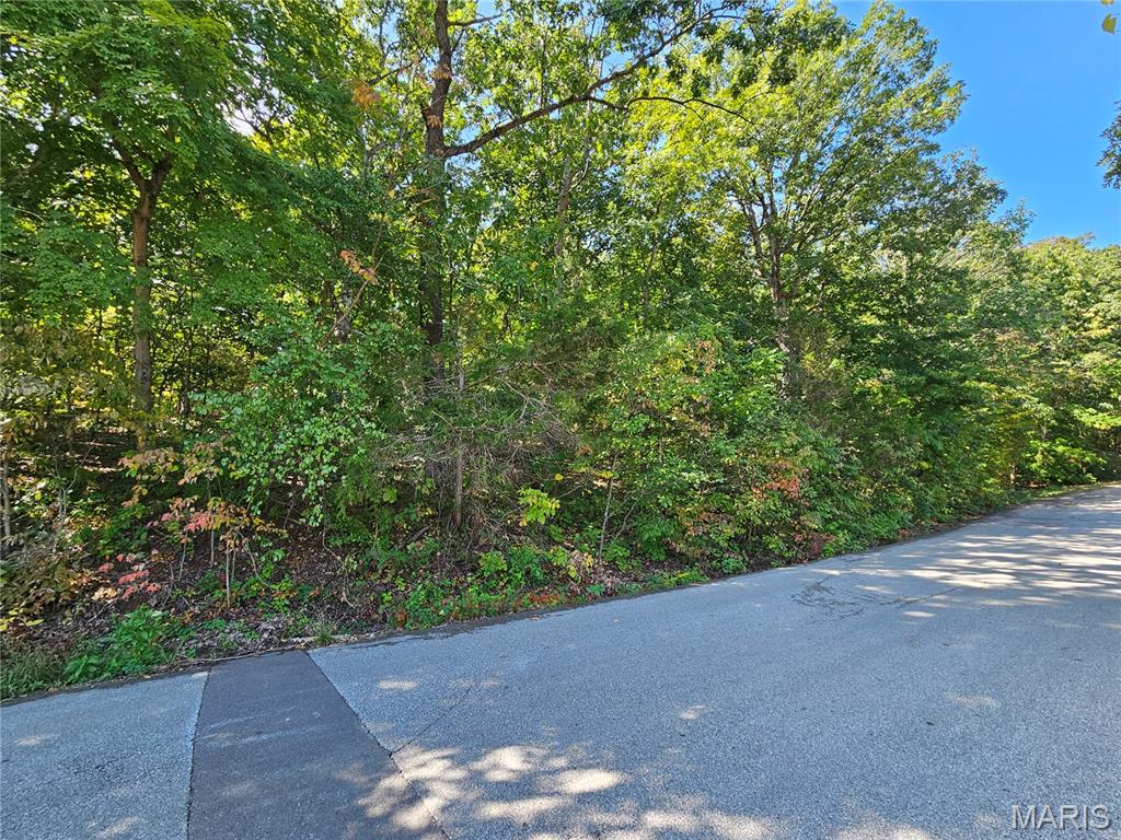 Raintree Plantation - Land