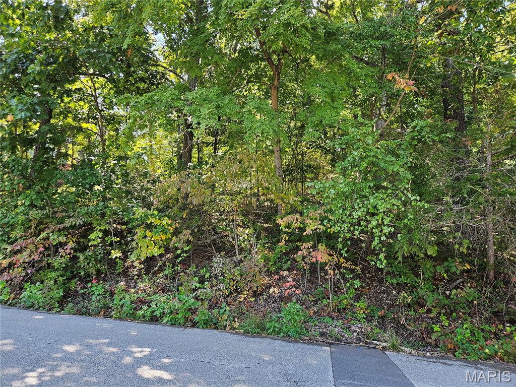 Raintree Plantation - Land