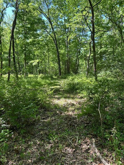 Tiny photo for 136 Sydnorville Road, Troy, MO 63379 (MLS # 25034418)