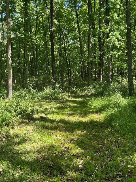 Tiny photo for 136 Sydnorville Road, Troy, MO 63379 (MLS # 25034418)