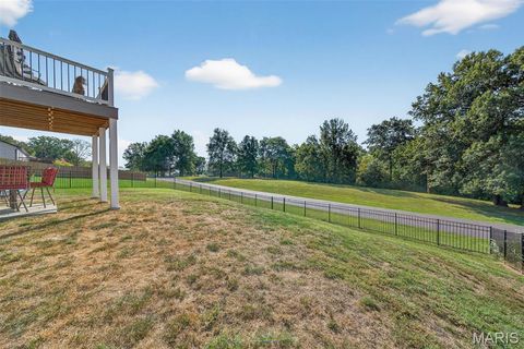 Tiny photo for 209 Rockford Drive, Troy, MO 63379 (MLS # 25066652)