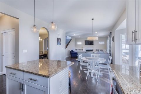 Tiny photo for 424 Julian Place, Kirkwood, MO 63122 (MLS # 26009206)