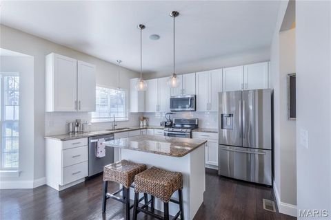 Tiny photo for 424 Julian Place, Kirkwood, MO 63122 (MLS # 26009206)