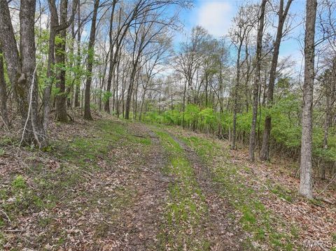 Tiny photo for 16404 Clayton Road, Wildwood, MO 63011 (MLS # 26028269)