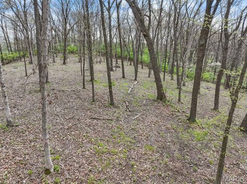Tiny photo for 16404 Clayton Road, Wildwood, MO 63011 (MLS # 26028269)