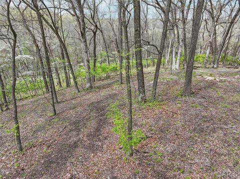 Tiny photo for 16404 Clayton Road, Wildwood, MO 63011 (MLS # 26028269)