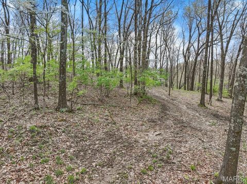 Tiny photo for 16404 Clayton Road, Wildwood, MO 63011 (MLS # 26028269)